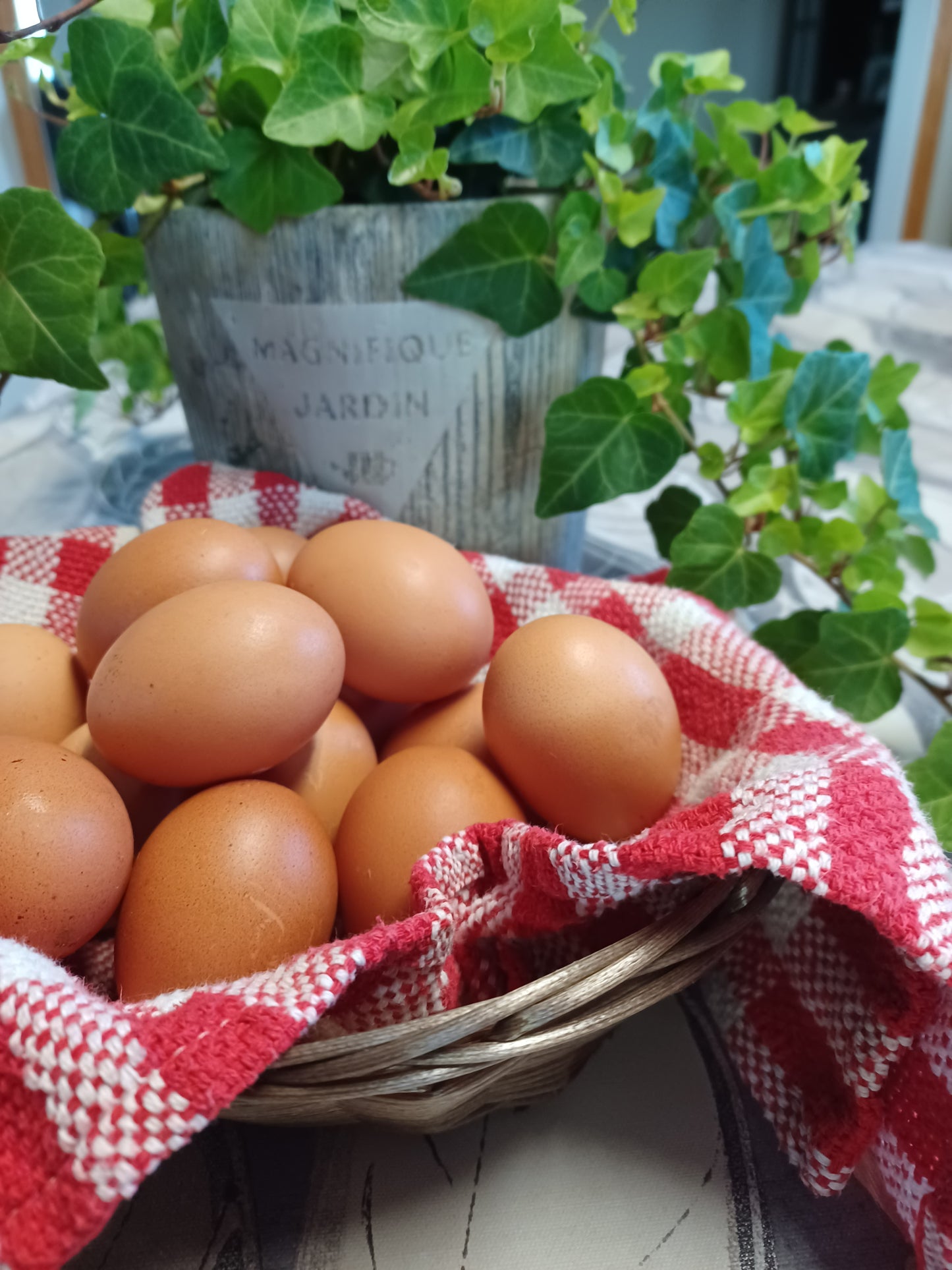 Farm Fresh Brown Eggs