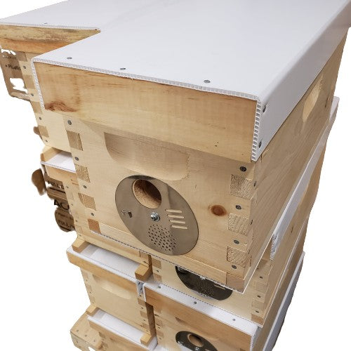 5 Frame Nuc Box