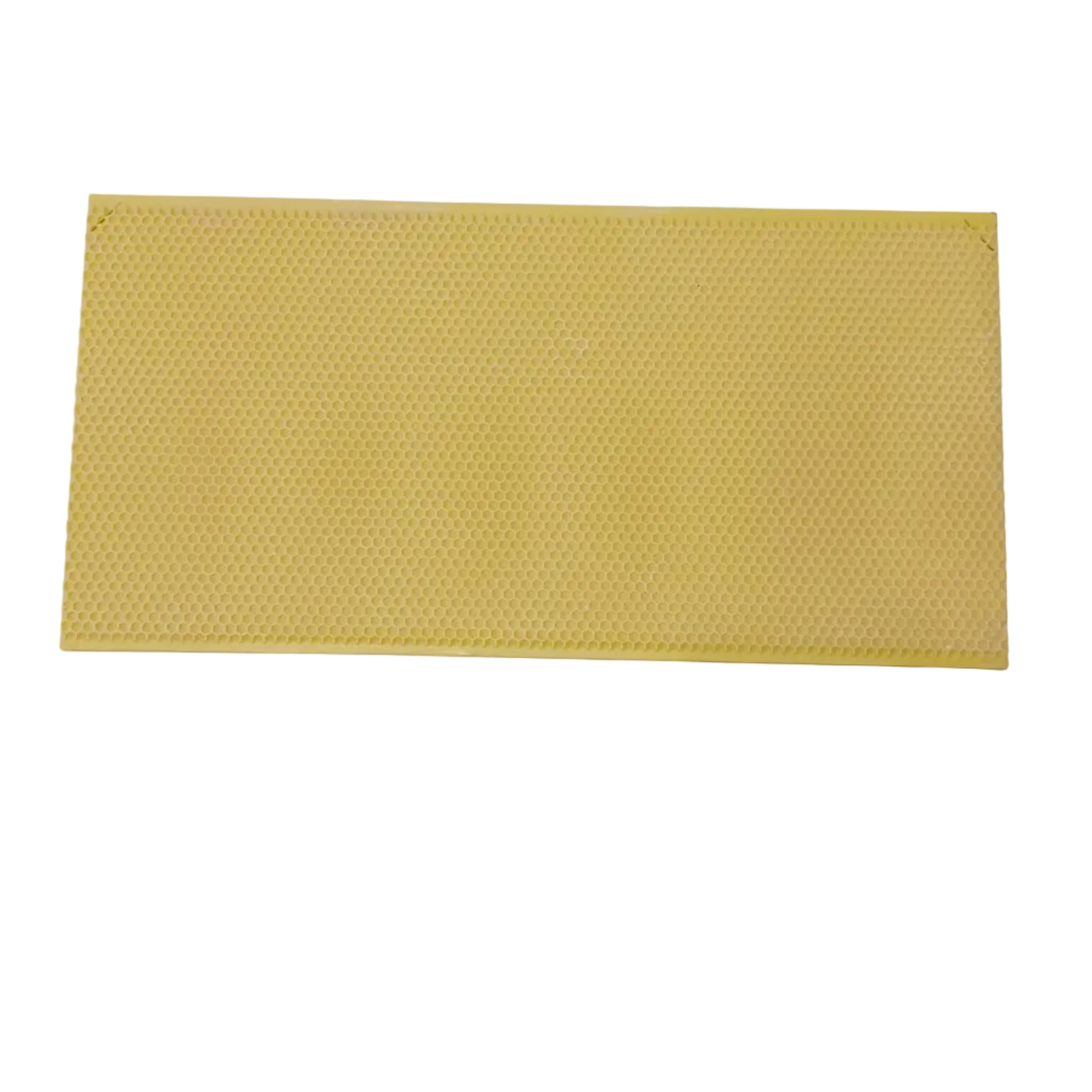 Deep Yellow Canaell Foundation