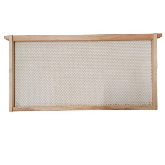 Deep Frame with White Acorn Foundation