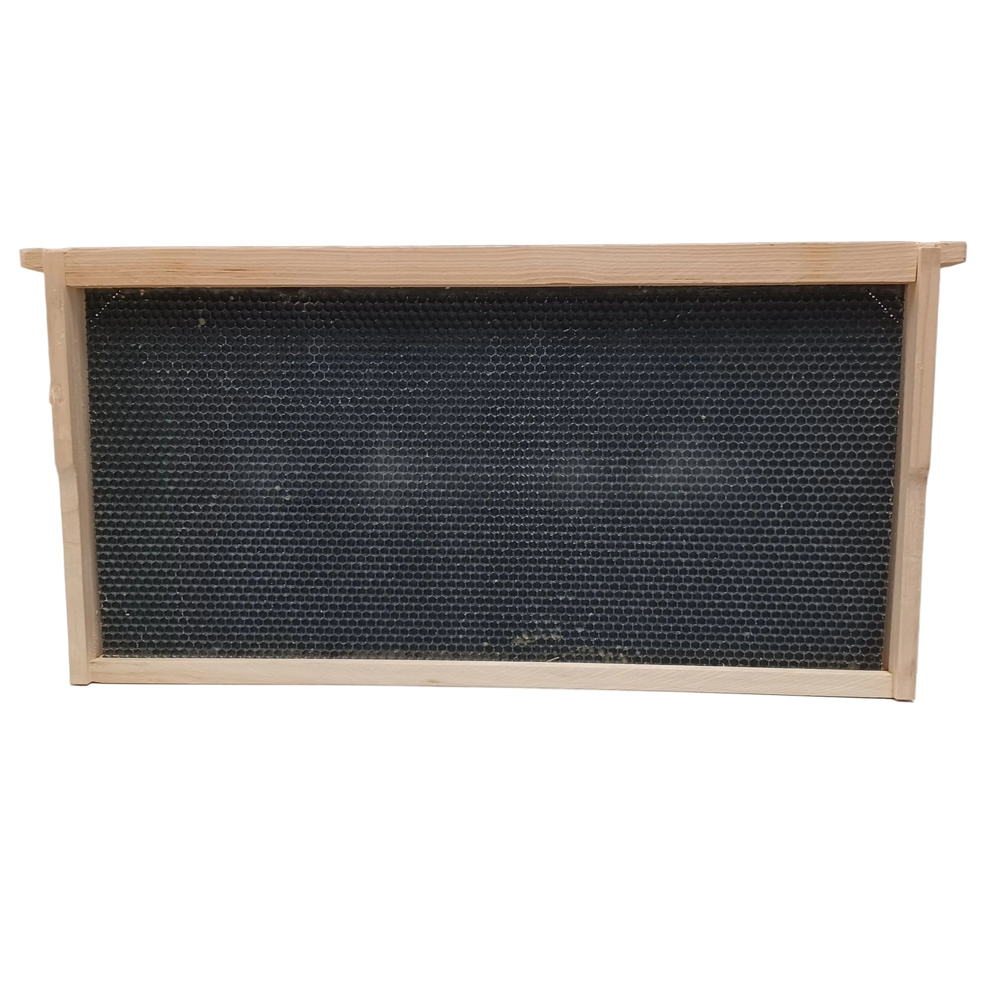 Deep Frame with Black Acorn Foundation
