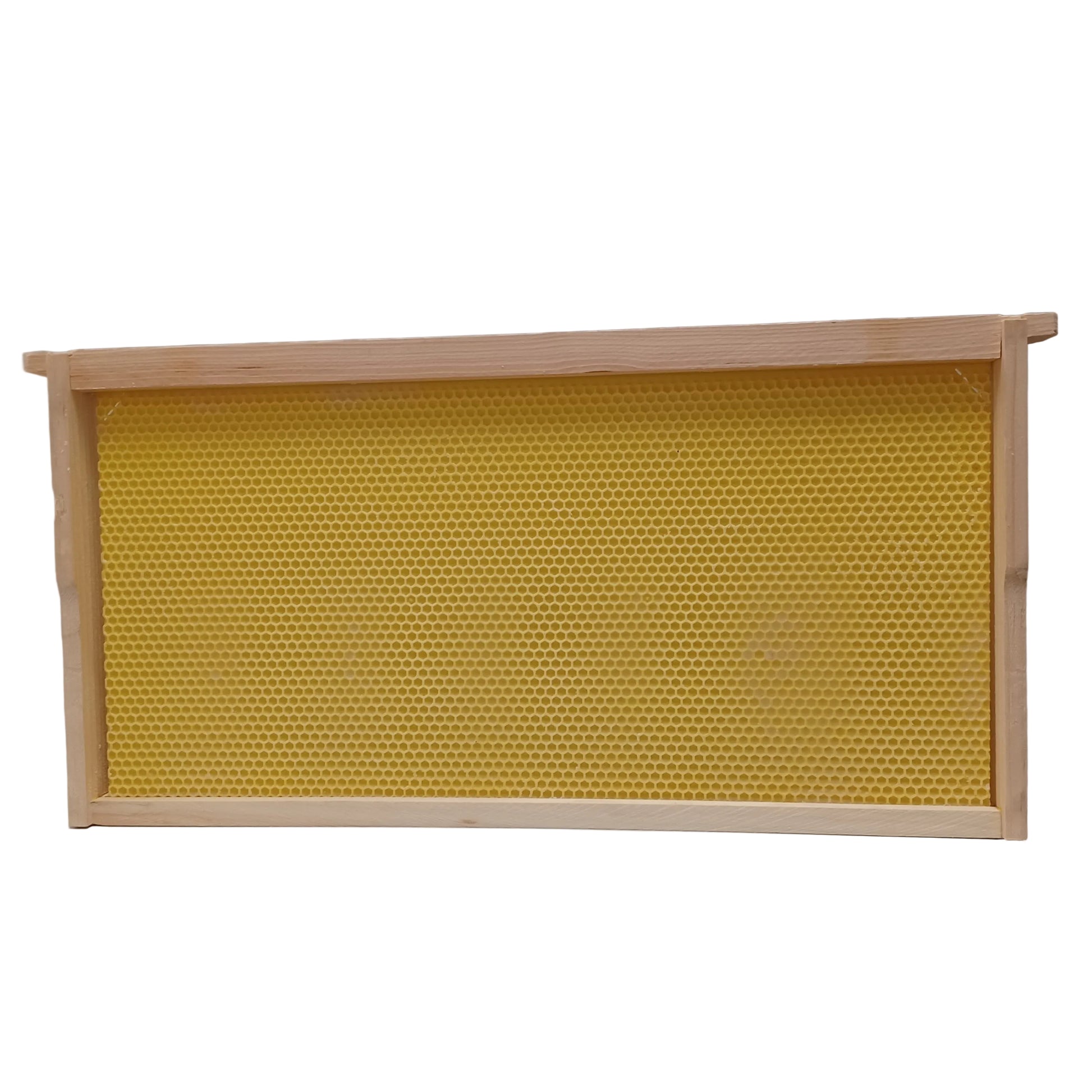 Deep Frame with Yellow Canacell Foundation
