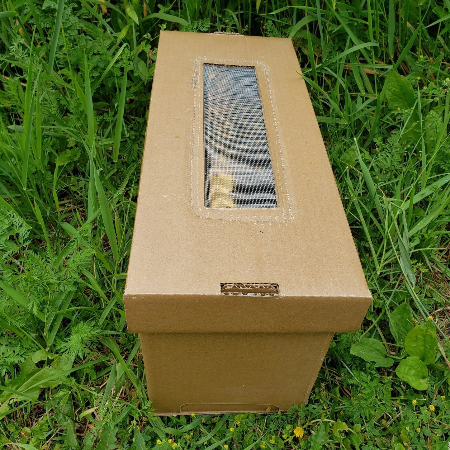 2025 Nucs